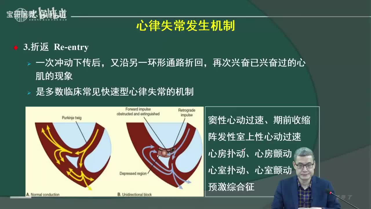 第二十二章 抗心律失常药3