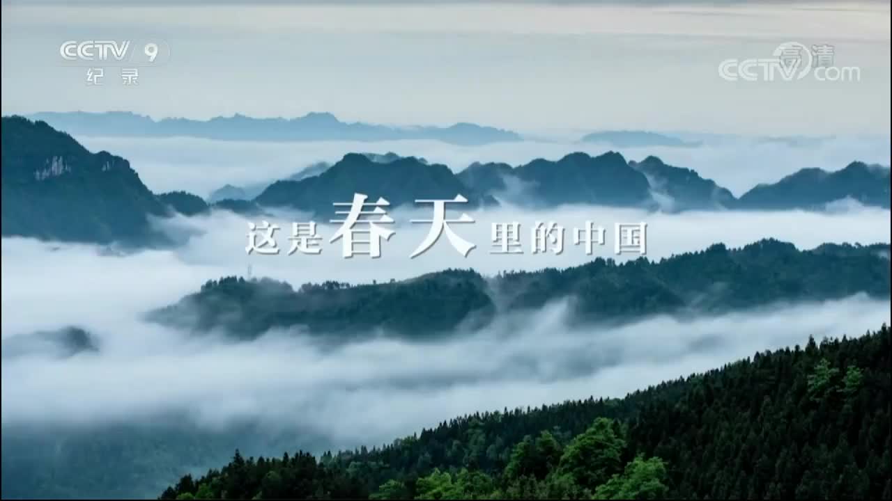 《大美中国.春天系列》17集 春天的广东