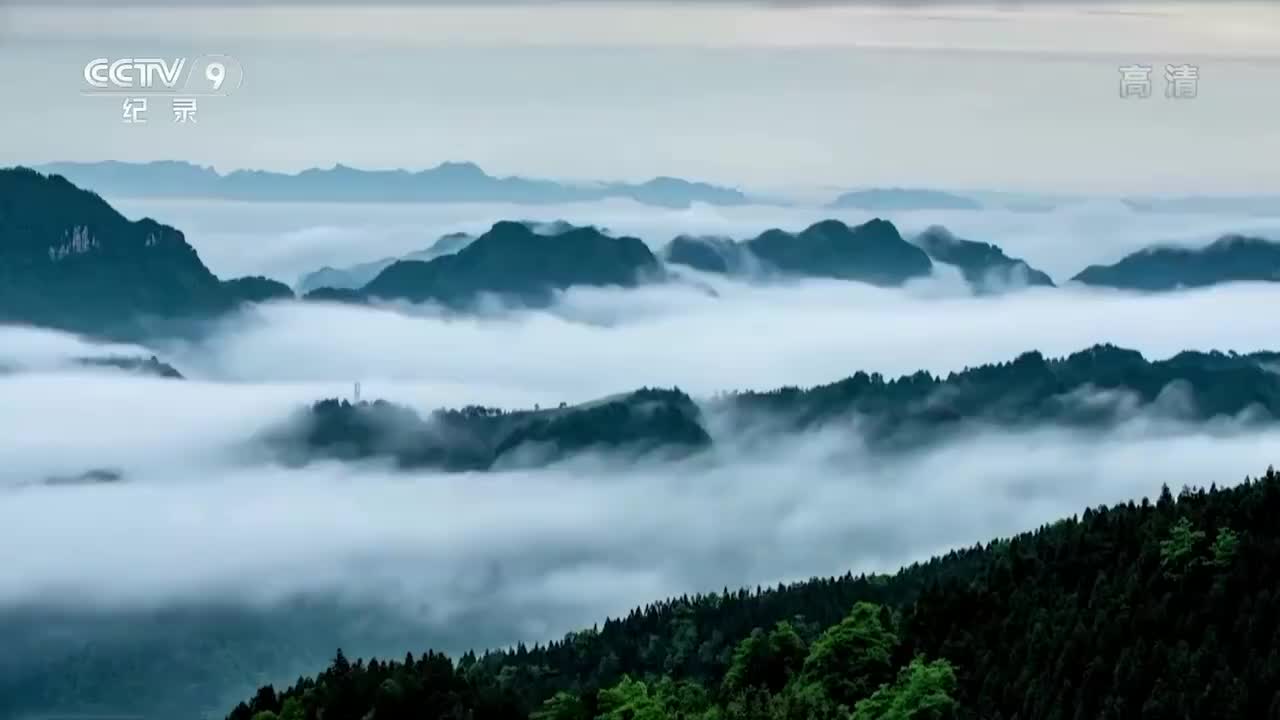 《大美中国.春天系列》13集 海南热带雨林