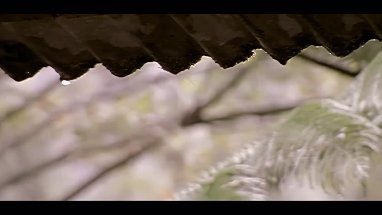 4K - 周杰伦 - 枫（伴奏）