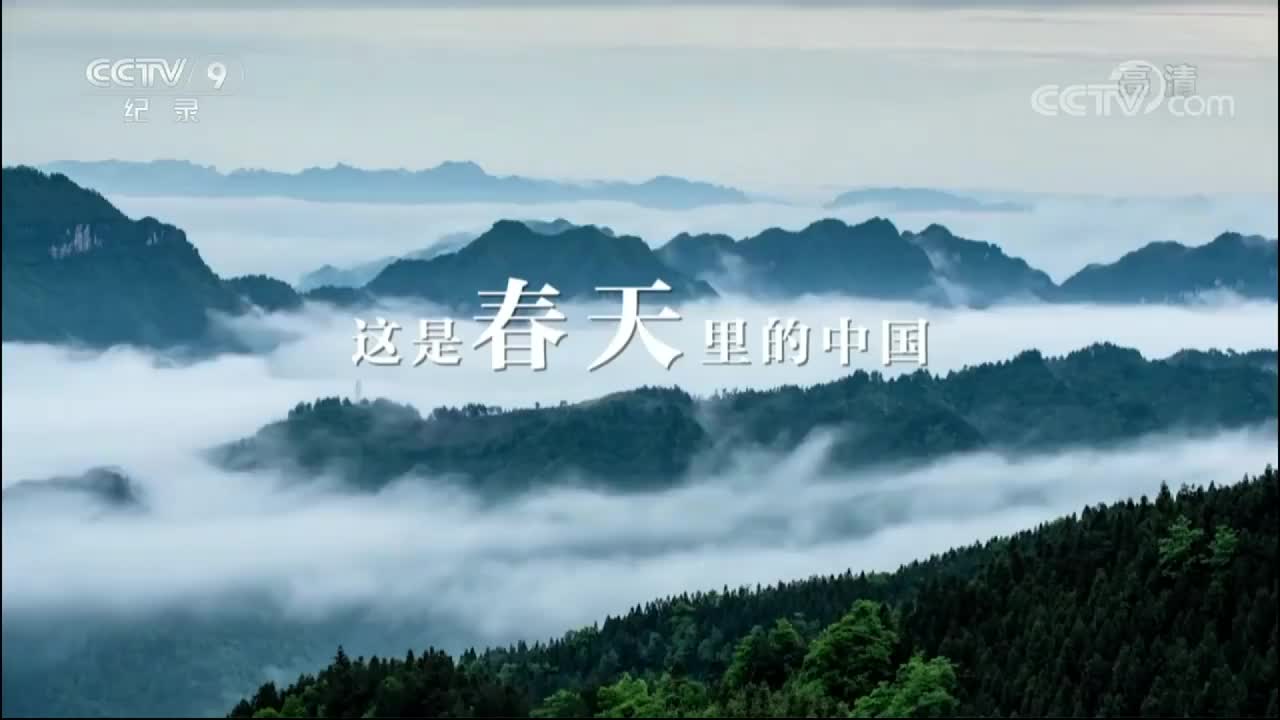 《大美中国.春天系列》16集 春天的天津