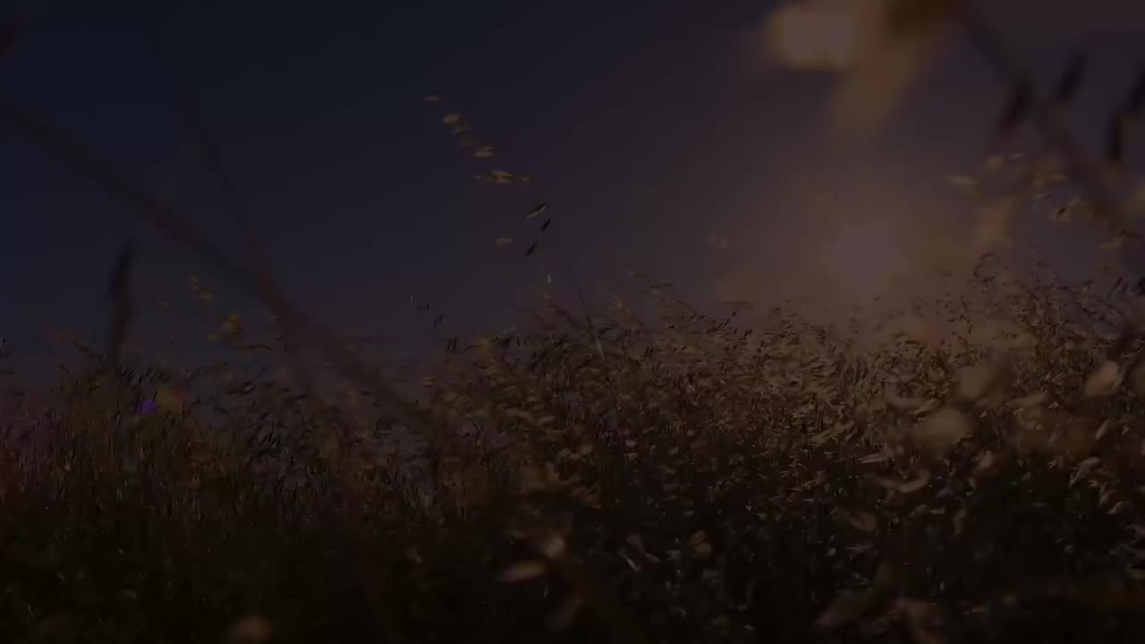 Calum Graham－Ma Lumière