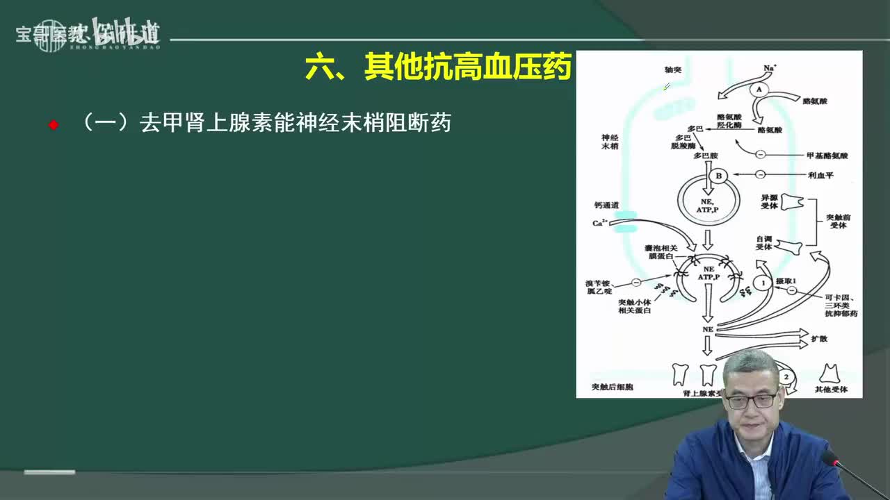 第二十五章 抗高血压药4