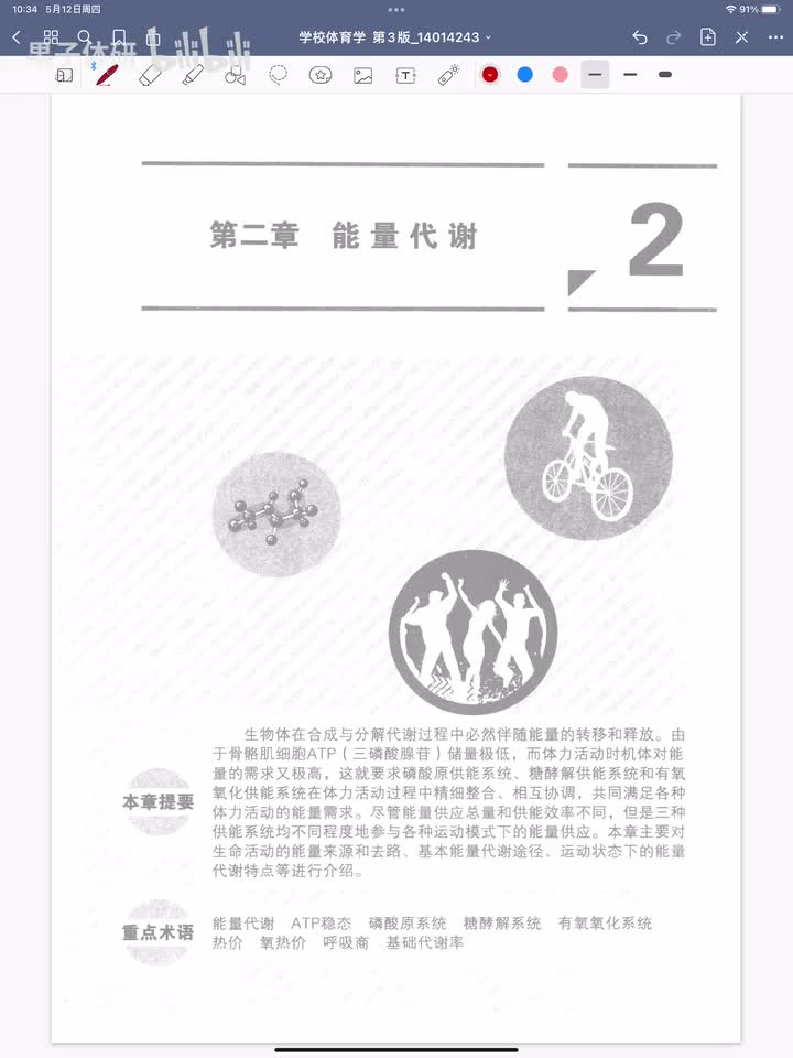 第二章 能量代谢