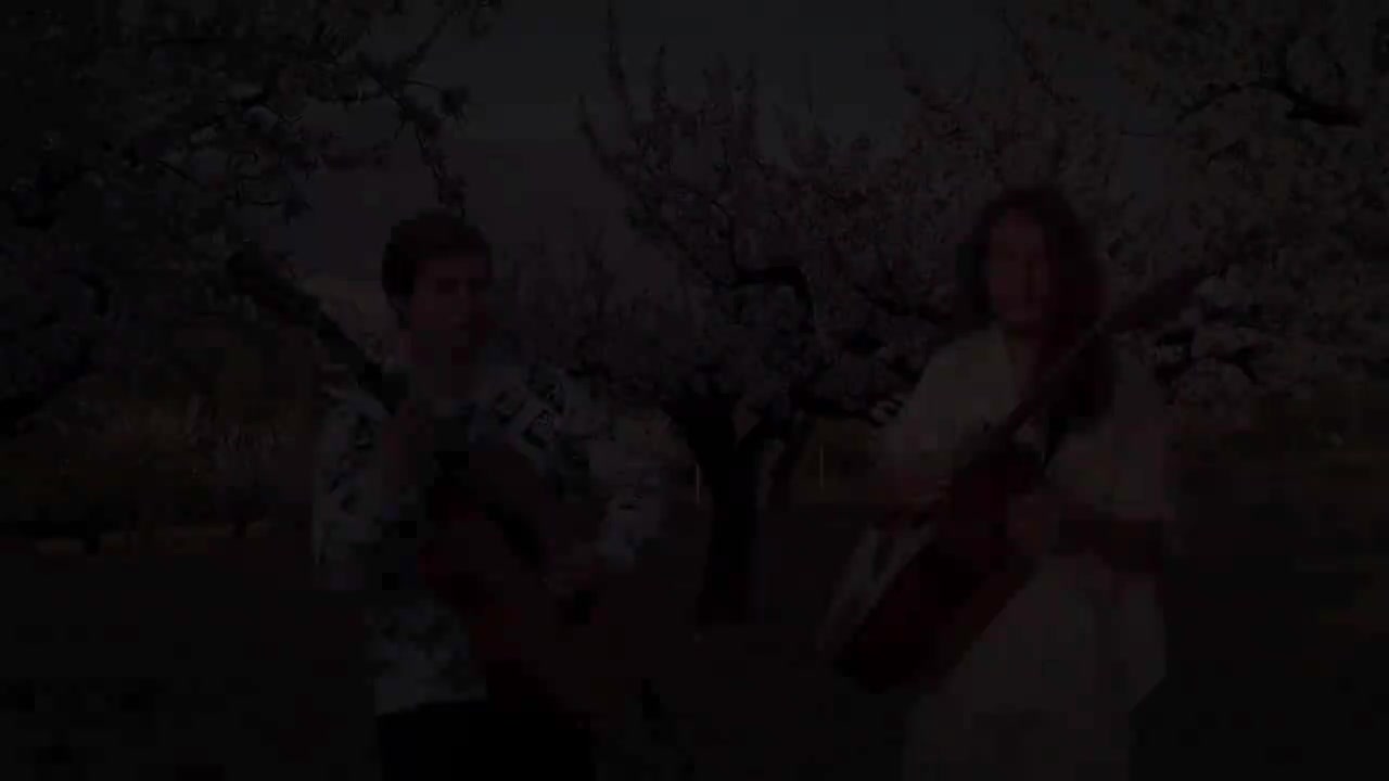 Alexandr Misko & Heiko Bloemers - Blossom