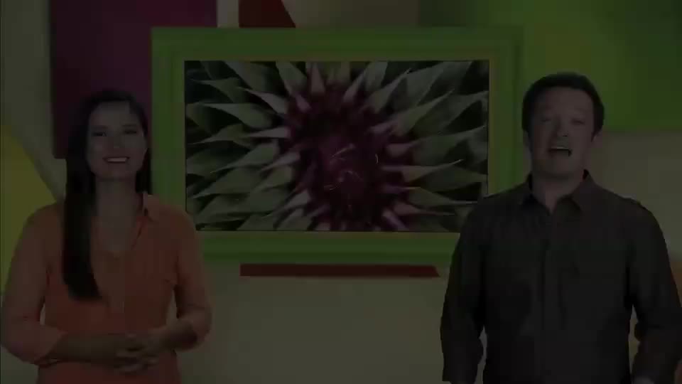 ow2e_l5u6_ame_08_Viewing