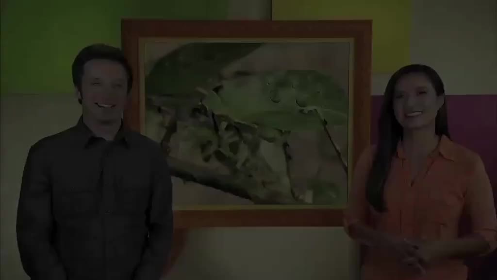 ow2e_l5u2_ame_02_Vocabulary_1a