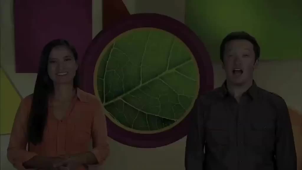 ow2e_l5u6_ame_03_Vocabulary_1b