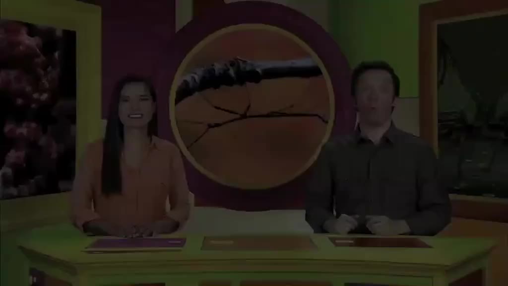 ow2e_l5u2_ame_11_Wrap_up