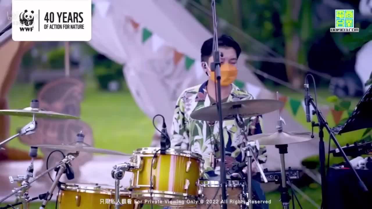 《蚊子》cover 地球一小时