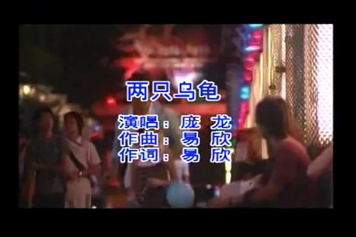 庞龙-两只乌龟-国语-流行