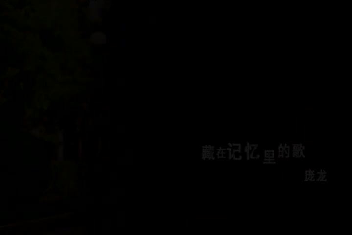 庞龙-藏在记忆里的歌(国语)