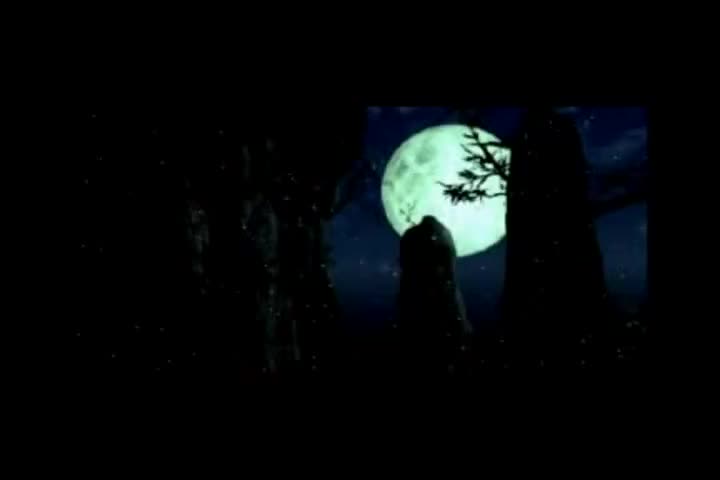 庞龙-春秋爱美丽-国语-流行