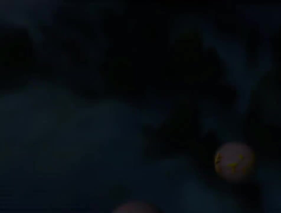 第16集 观音救仙树