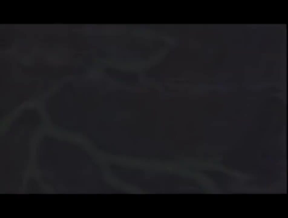 第7集 难逃佛掌心Ⅱ