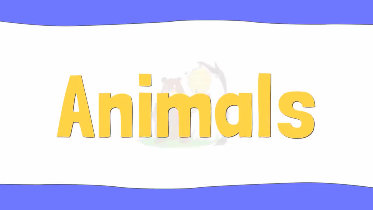 【1】Animals _ Vocabulary _ 24 Words