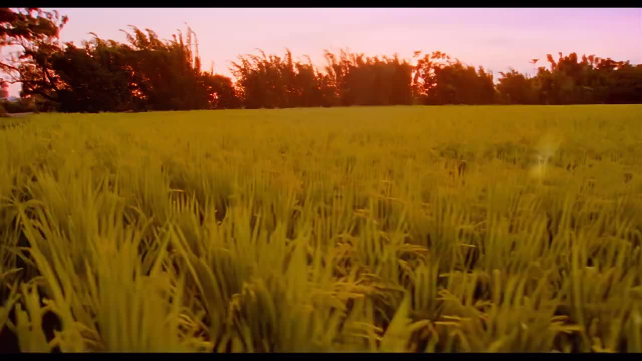 【魔杰座】稻香 4K修复