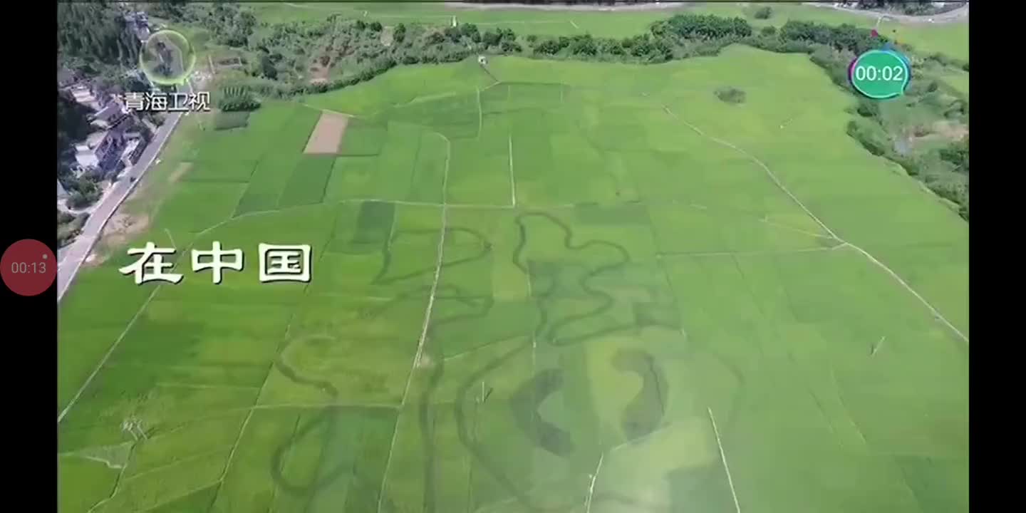 青海卫视