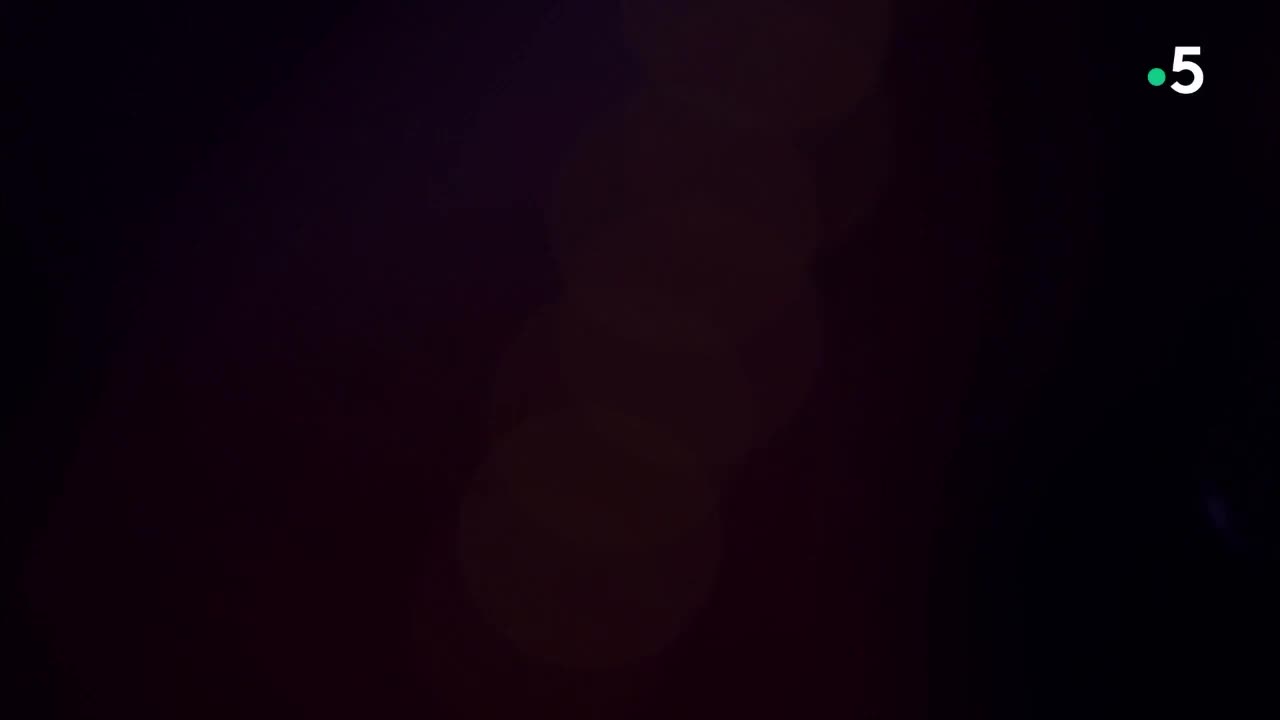 1.序曲及狮王的进行