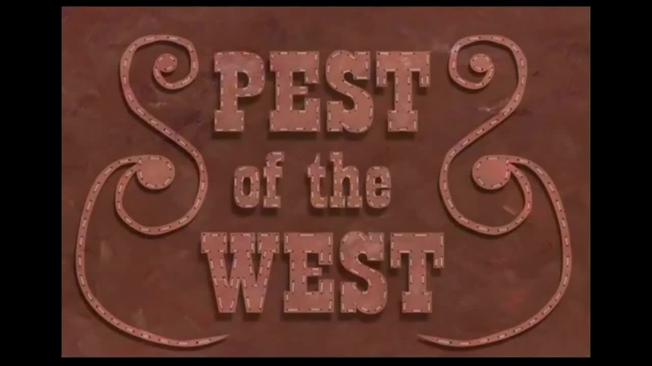 161 Ride Stallion Ride