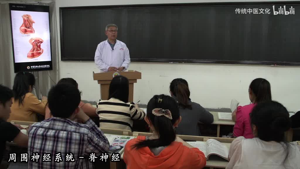 53-解刨学-周围神经系统-脊神经1