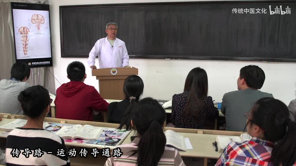 59-解刨学-传导路-运动传导通路