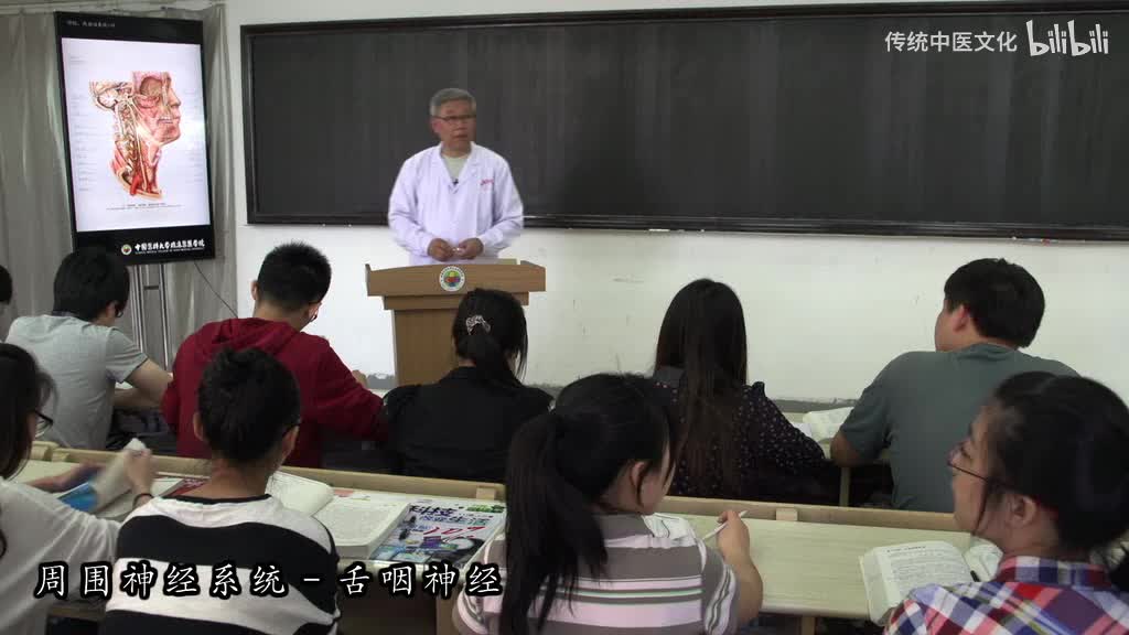 56-解刨学-周围神经系统-舌咽神经