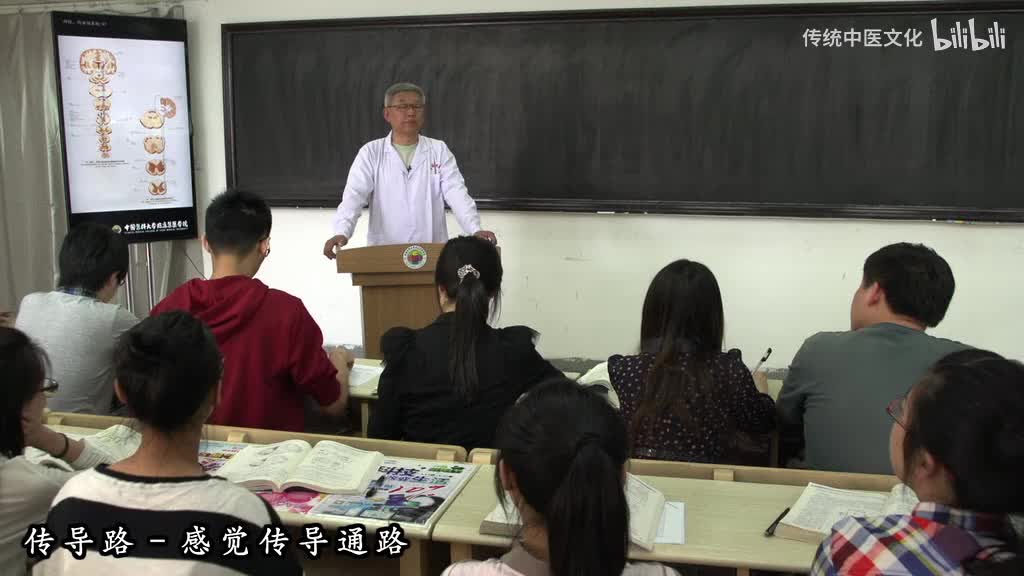 58-解刨学-传导路-感觉传导通路