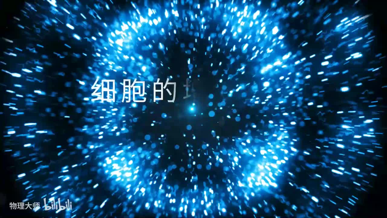 19-1细胞的增殖——感知未来