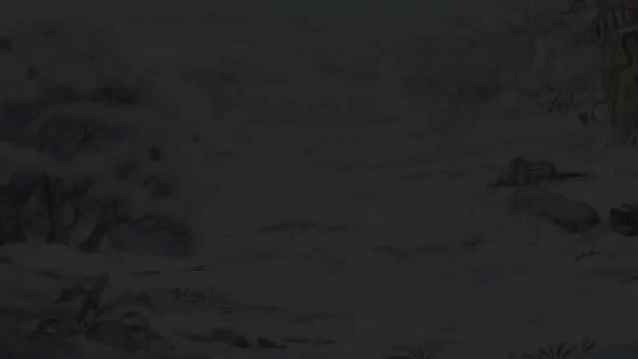 200 THE NORTHERN LIGHTS 北极光