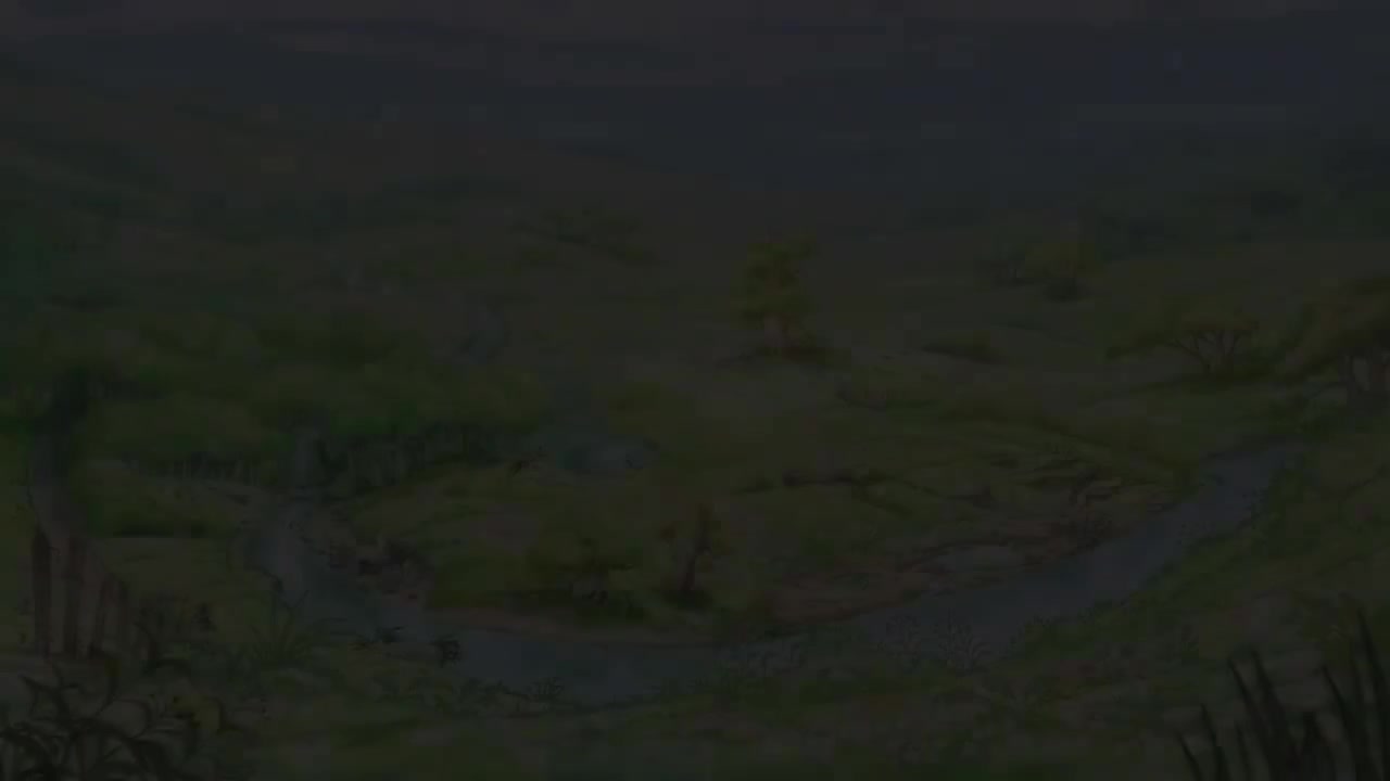 049 Compilation Otters Antics