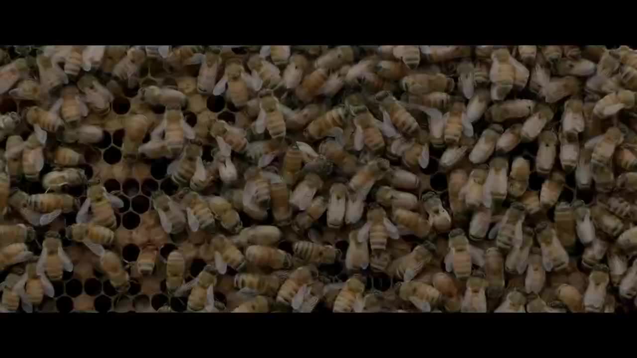 Hearts Like Ours - The Naked and Famous