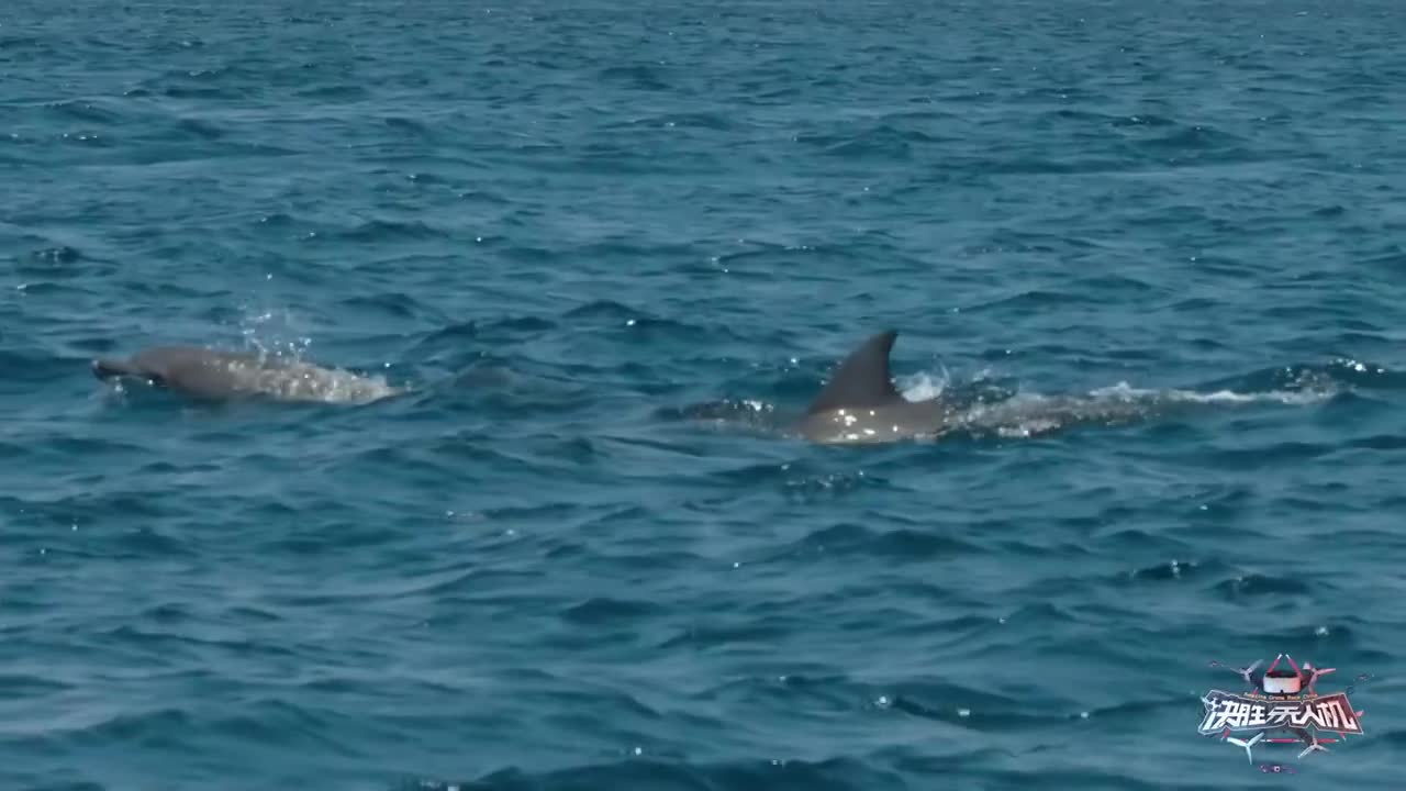 决胜无人机 第6集：印尼蓝火终极魅惑