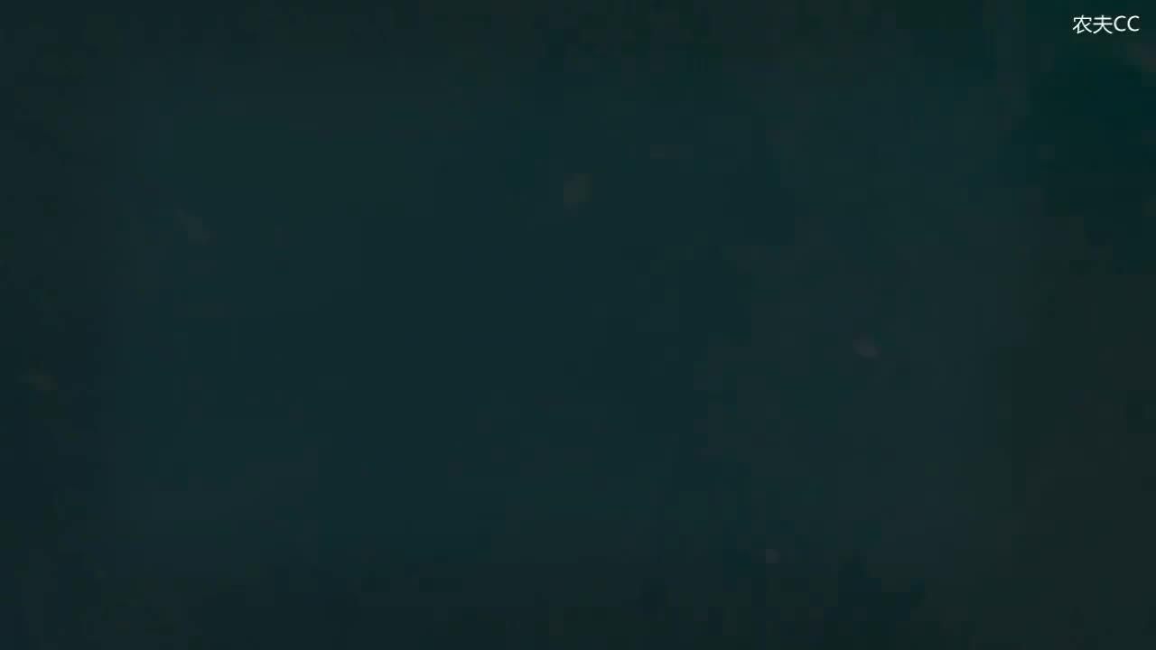 2.1 动词配价概述