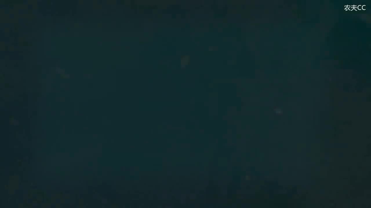 3.5 实战精解：瞬间还是延续