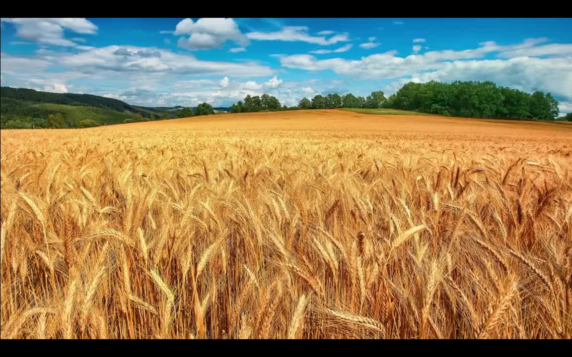 Imagine Dragons - Believer