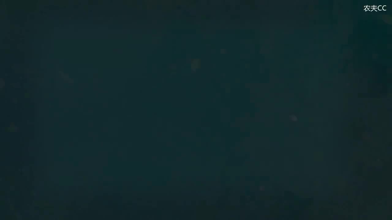 4.3 情态动词主观表达