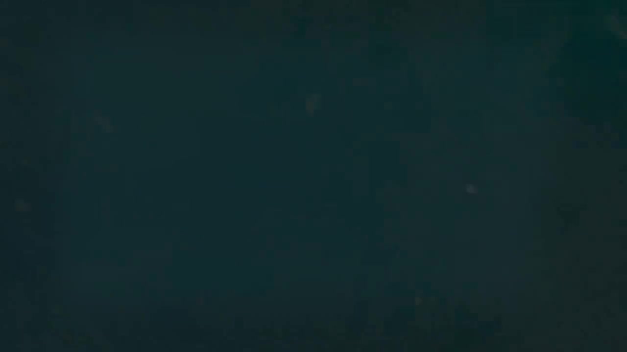 2.4 动词配价的多样性