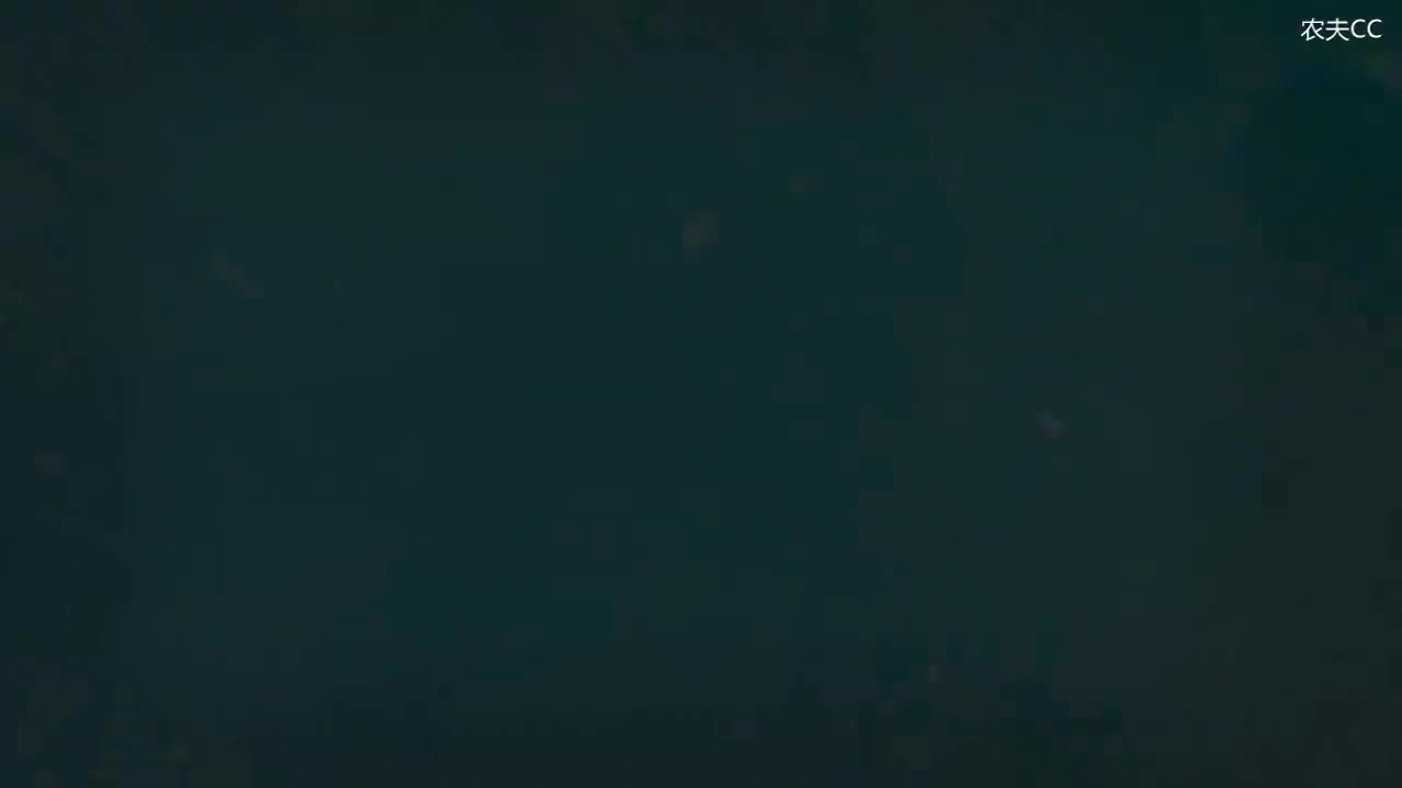 5.4 无人称被动与接受者被动