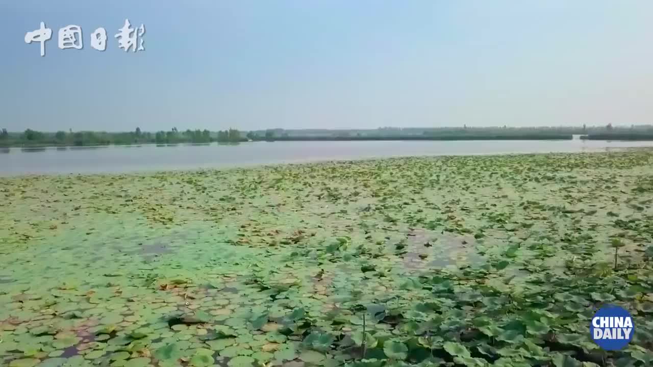 19、Xiongan New Area：A vision for a smart city