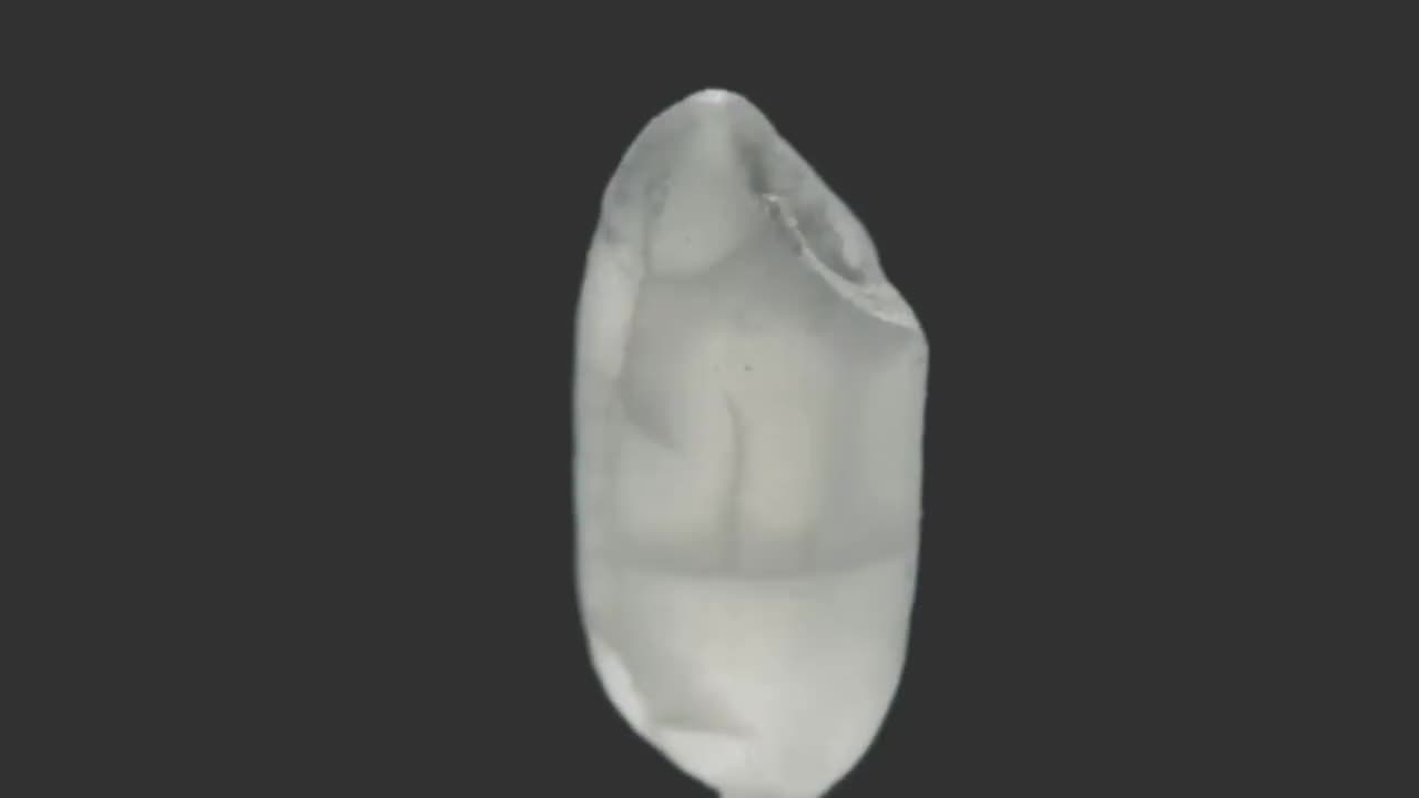 《稻之道》第1集：稻之源