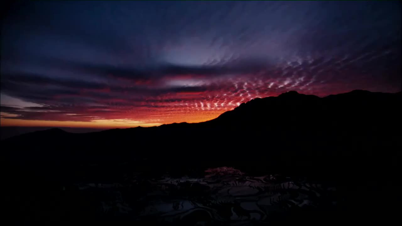 《稻之道》6分钟加长版宣传片