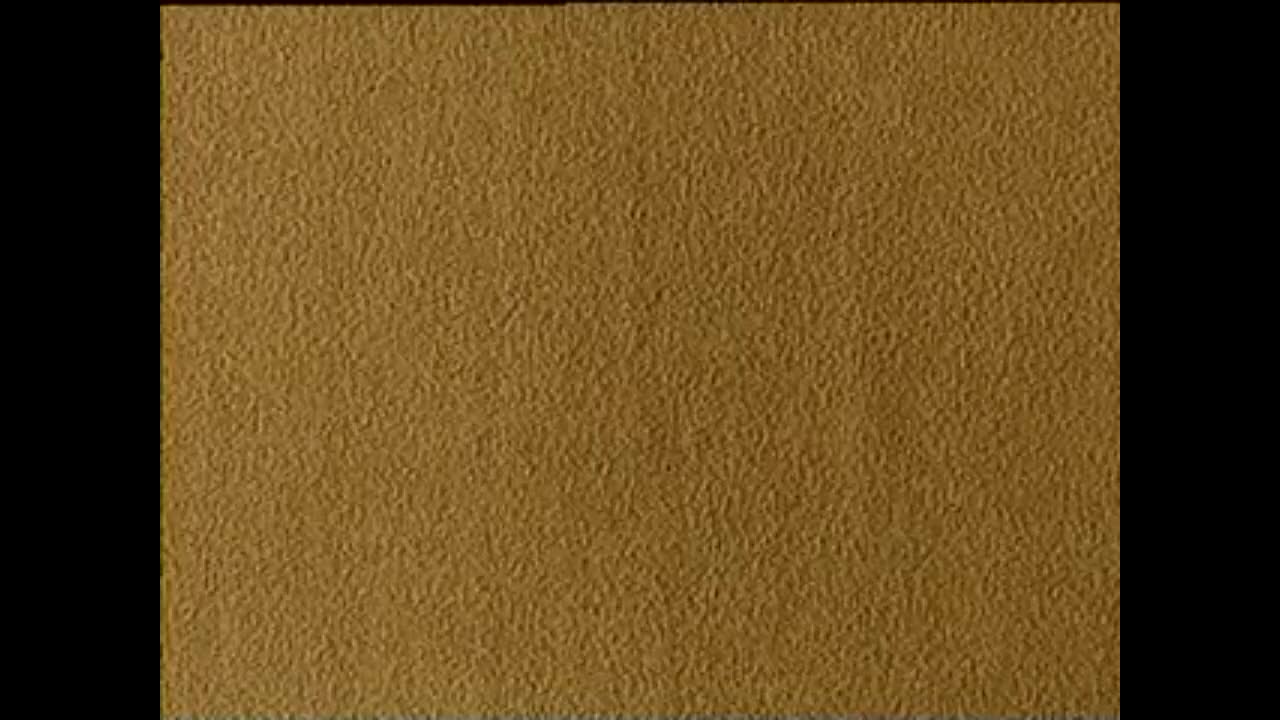 龙凤面/梁赛金擀面 马晓琳、高静、文宗哲、董家岭、段作章、谭连华等山东省吕剧院复排演出