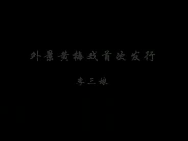 027.黄梅全场戏 -李三娘