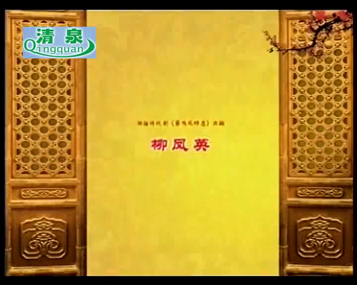 006.黄梅全场戏 -柳凤英