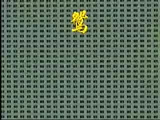 046.黄梅全场戏 -鸳鸯配