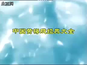 017.黄梅全场戏 -哑女告状