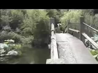 035.黄梅全场戏 -白灯记