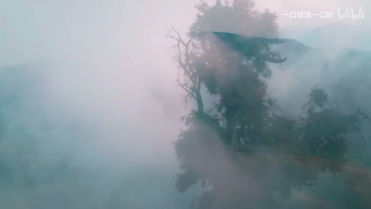 中国植被类型及其分布