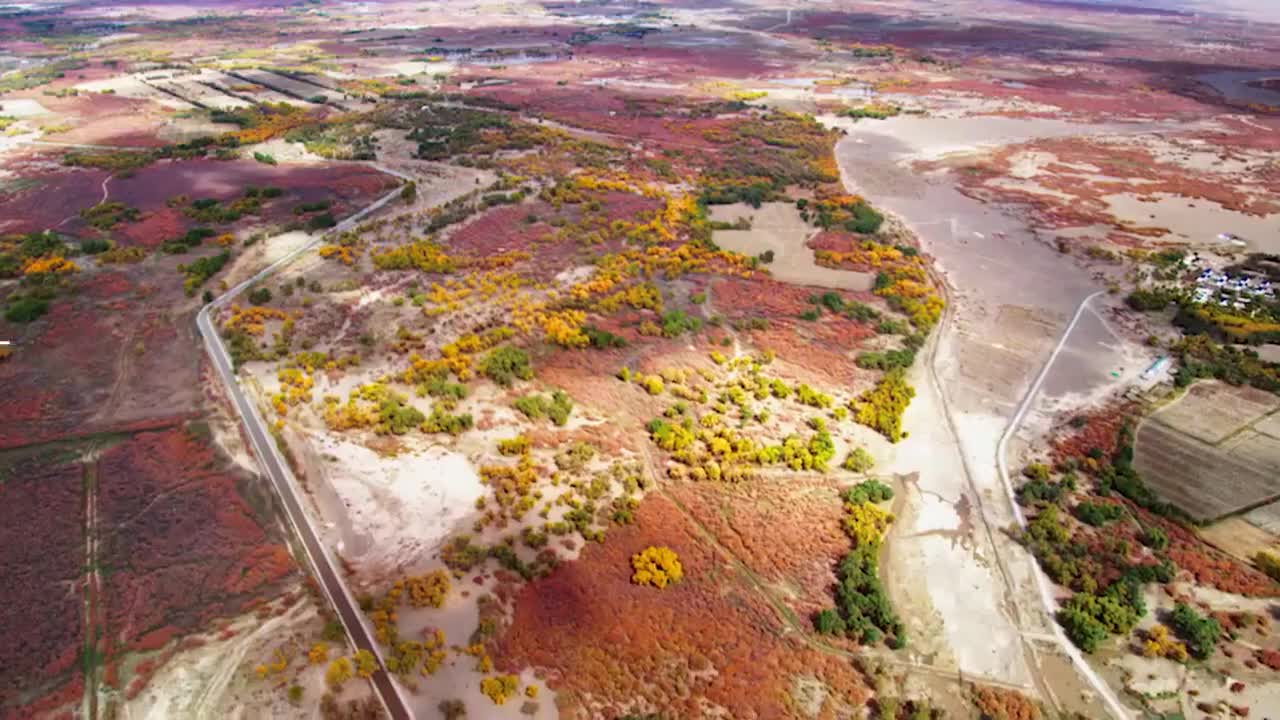 【美丽中国】《Amazing China》双语字幕绝佳英语听力素材，感受中国自然风光-p39-39.沙漠的守护神：胡杨[高清版]